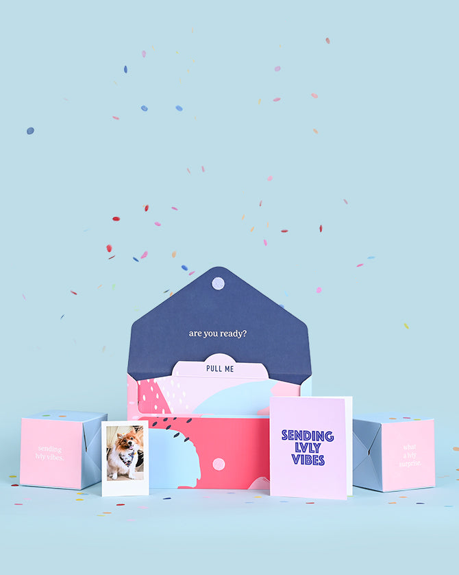 Polaroid Surprise Envelope - LVLY Inc.